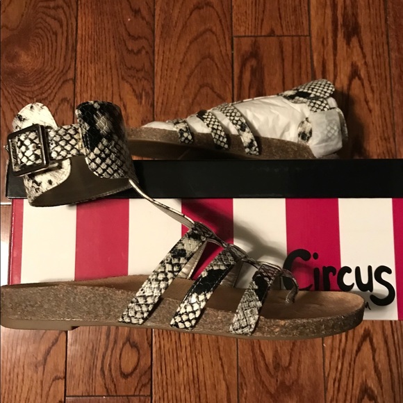 Brand new Sam Edelman Birkenstock style sandal - Picture 5 of 6